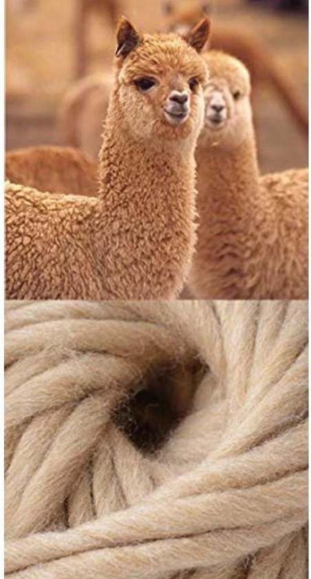 Merkloos Alpaca Sokken | GoWith | 2 Paar | Unisex | Heren | Dames | Gezellige Wollen Sokken | Gemaakt Van Extra Dik Alpaca Garen | Gebreide Sokken Voor Heren En Dames | Valentijn Cadeau | Maat: 43-46 | Kleur: Grijs En Antraciet | 3094 7 Merkloos Alpaca Sokken | GoWith | 2 Paar | Unisex | Heren | Dames | Gezellige Wollen Sokken | Gemaakt Van Extra Dik Alpaca Garen | Gebreide Sokken Voor Heren En Dames | Valentijn Cadeau | Maat: 43-46 | Kleur: Grijs En Antraciet | 3094 - Afbeelding 5