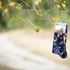 Alzheimer Socks 2022 (Maat 35-38) -Beenmode Winkel 550x366 2