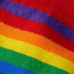 Kniekousen Met Strepen | Rainbow Kleuren | Maat 41/46 | Kniekousen Heren | Kniekousen Carnaval | Kniekousen | Carnaval Accessoires | Carnaval | Feestkleding | Apollo -Beenmode Winkel 550x550 217